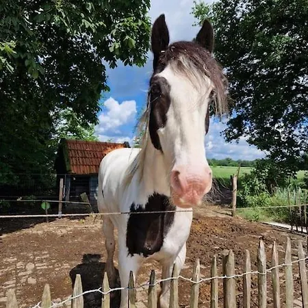 Mooie In Boerderij * Ruurlo
